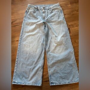 American Eagle Dreamy Drape Strigid Low Rise Jeans Ultra Wide Leg Size 10